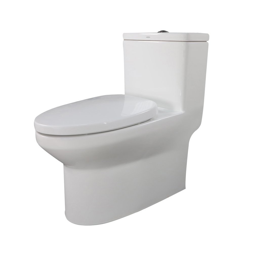 HC0156PT节水坐便器（墙排）